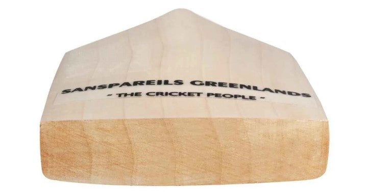 Cricket Bat SG Arc 2.0